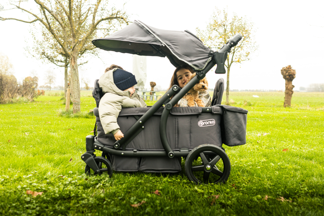 Pronto Stroller – Space Grey